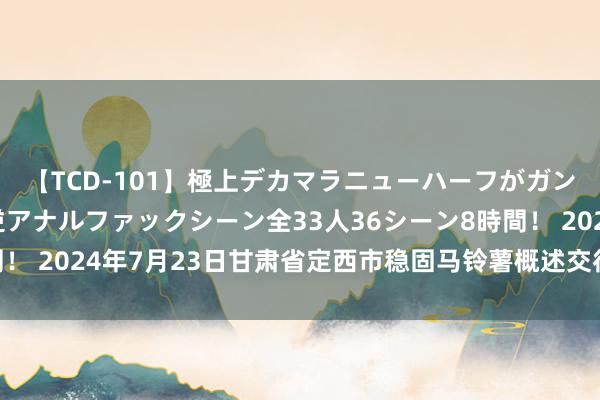 【TCD-101】極上デカマラニューハーフがガン掘り前立腺直撃快感逆アナルファックシーン全33人36シーン8時間! 2024年7月23日甘肃省定西市稳固马铃薯概述交往中心价钱行情