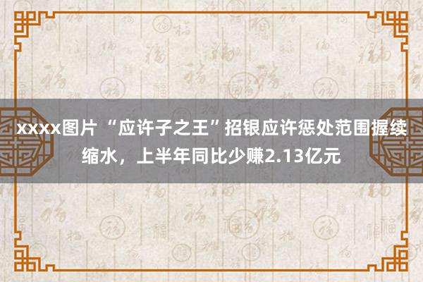 xxxx图片 “应许子之王”招银应许惩处范围握续缩水，上半年同比少赚2.13亿元