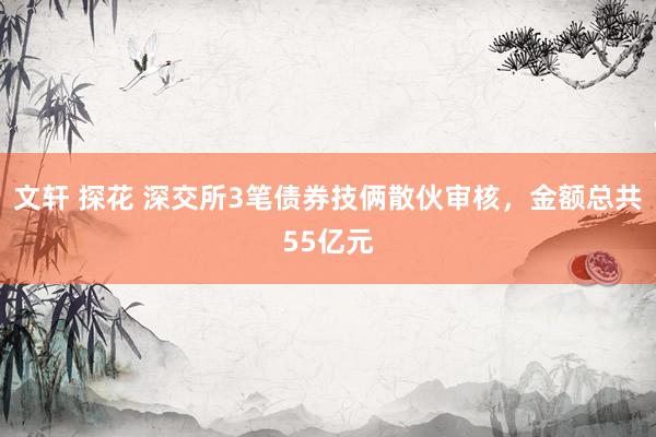 文轩 探花 深交所3笔债券技俩散伙审核，金额总共55亿元