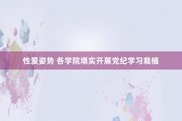 性爱姿势 各学院塌实开展党纪学习栽植