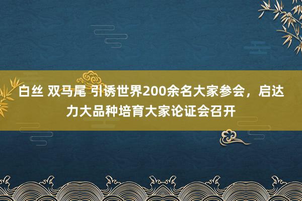 白丝 双马尾 引诱世界200余名大家参会，启达力大品种培育大家论证会召开