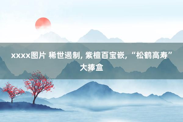 xxxx图片 稀世遏制， 紫檀百宝嵌， “松鹤高寿”大捧盒