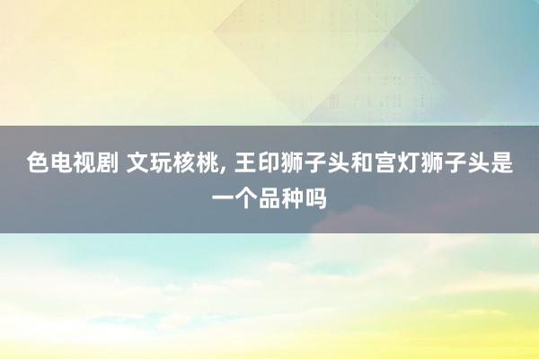 色电视剧 文玩核桃， 王印狮子头和宫灯狮子头是一个品种吗