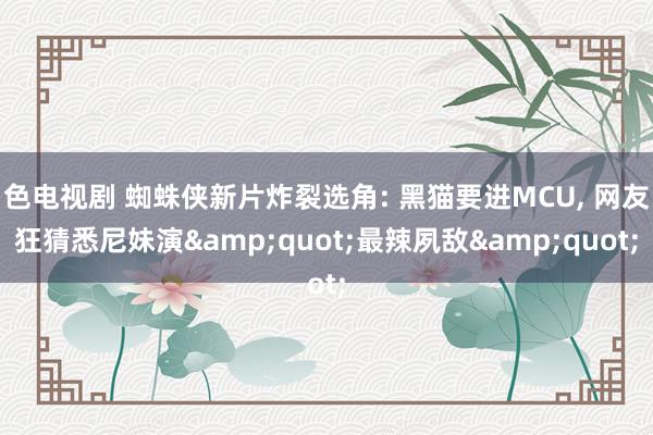 色电视剧 蜘蛛侠新片炸裂选角: 黑猫要进MCU， 网友狂猜悉尼妹演&quot;最辣夙敌&quot;